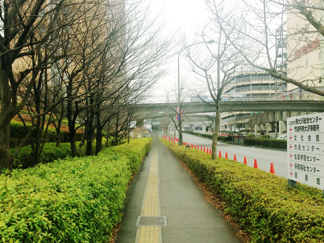 フレスコ南大沢オフィス棟までの歩道